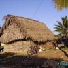 Home in Belize